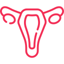 001-uterus